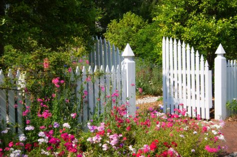 Weisses Gartentor mit Blumen